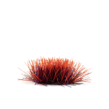 GamersGrass Alien Blood Moon (6mm) GamersGrass