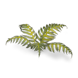 GamersGrass Laser Plants - Bracken GamersGrass
