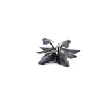 GamersGrass Laser Plants - Black Magic Taro GamersGrass