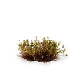 GamersGrass Dry Green Shrubs GamersGrass