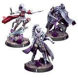 Eldfall Chronicles: Queen's Blade Eldfall Chronicles Free Company 