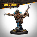 Warmachine: Two Player Starter Set (Khador vs Cygnar)