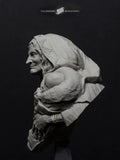 Galapagos Miniatures: Muir Bust & Figures Galapagos Miniatures 