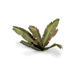 GamersGrass Laser Plants - Banana Tree GamersGrass