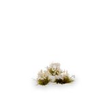 GamersGrass White Lily Tiny Flowers GamersGrass