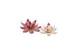 GamersGrass Laser Plants - Lotus Flower GamersGrass