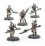 Necrons: Hypercrypt Legion Necrons Games Workshop 