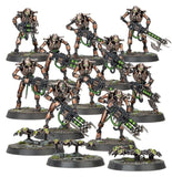 Necrons: Hypercrypt Legion Necrons Games Workshop 