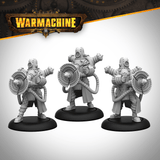 Warmachine: Cygnar Storm Forge Command Cadre