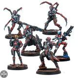 Reinforcements: Nomads Pack Alpha Nomad Corvus Belli 