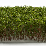 Tall Shrubbery - Light Green