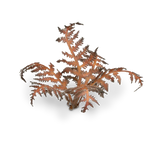 GamersGrass Laser Plants - Dry Bracken GamersGrass
