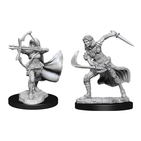 D&D Air Genasi Female D&D RPG Miniatures WizKids 