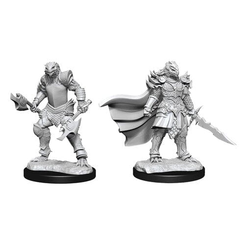 D&D Dragonborn Fighter Female D&D RPG Miniatures WizKids 