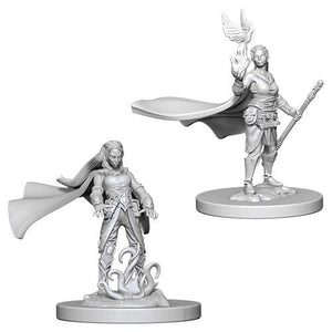 D&D Elf Female Druid D&D RPG Miniatures WizKids 