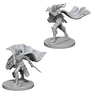 D&D Elf Female Paladin D&D RPG Miniatures WizKids 