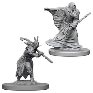 D&D Elf Male Druid D&D RPG Miniatures WizKids 