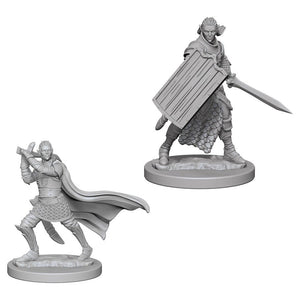 D&D Elf Male Paladin D&D RPG Miniatures WizKids 