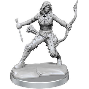 D&D Frameworks: Human Rogue Female D&D RPG Miniatures Wizkids 