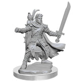 D&D Frameworks: Male Half-Elf Ranger D&D RPG Miniatures WizKids 