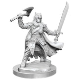 D&D Frameworks: Male Half-Elf Ranger D&D RPG Miniatures WizKids 