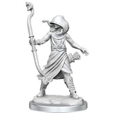 D&D Frameworks: Medusa D&D RPG Miniatures WizKids 