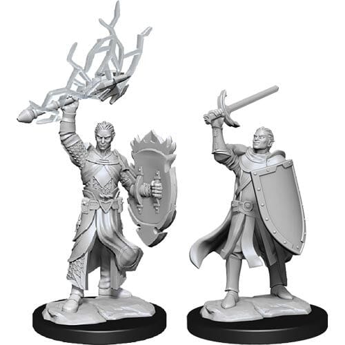 D&D Half-Elf Paladin Male D&D RPG Miniatures WizKids 