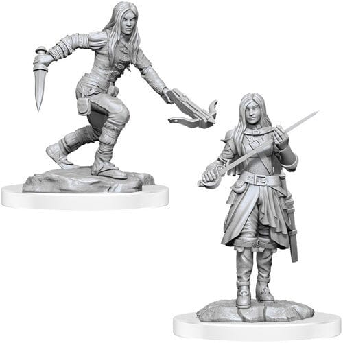 D&D Half-Elf Rogue Female D&D RPG Miniatures WizKids 