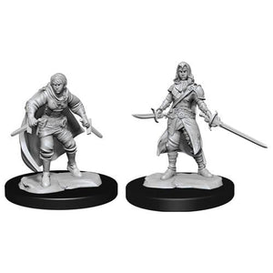 D&D Half-Elf Rogue Female D&D RPG Miniatures WizKids 