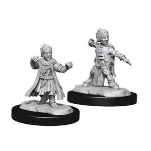 D&D Halfing Monk Male D&D RPG Miniatures WizKids 