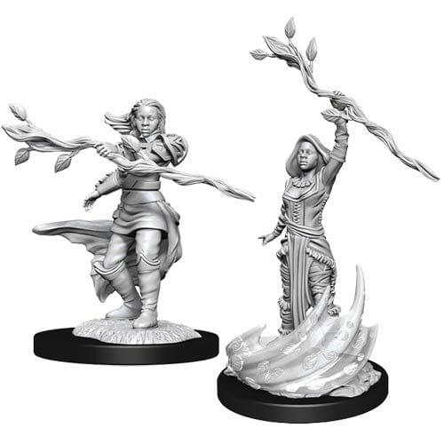 D&D Human Druid Female D&D RPG Miniatures WizKids 