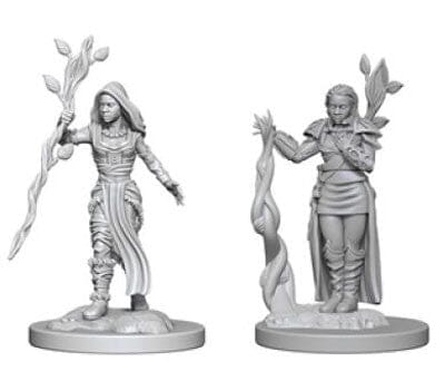 D&D Human Female Druid D&D RPG Miniatures WizKids 