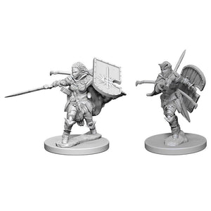 D&D Human Female Paladin D&D RPG Miniatures WizKids 