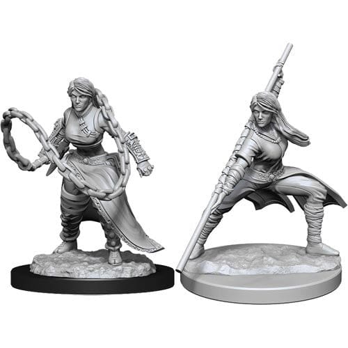 D&D Human Monk Female D&D RPG Miniatures WizKids 