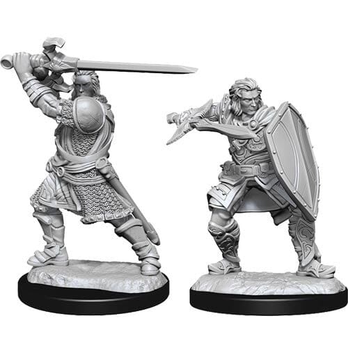 D&D Human Paladin Male D&D RPG Miniatures WizKids 