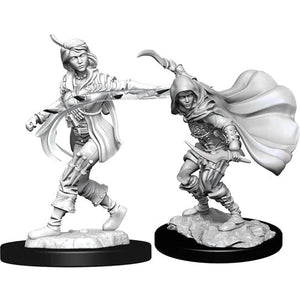 D&D Human Rogue Female D&D RPG Miniatures WizKids 