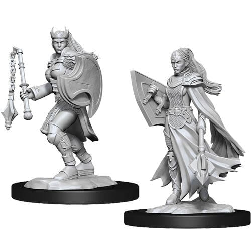 D&D Kalashtar Cleric Female D&D RPG Miniatures WizKids 