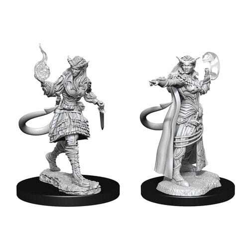 D&D Tiefling Sorcerer Female D&D RPG Miniatures WizKids 