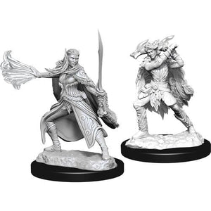 D&D Winter Eladrin & Spring Eladrin D&D RPG Miniatures WizKids 