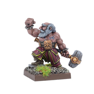 Dwarf Stone Priest Kings of War Mantic Games  (5026529443977)