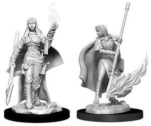 Female Human Oracle D&D RPG Miniatures WizKids 