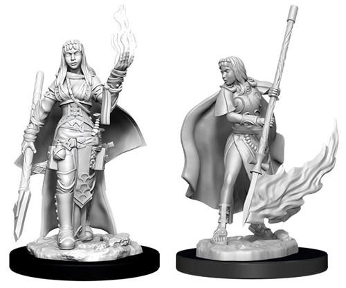 Female Human Oracle D&D RPG Miniatures WizKids 