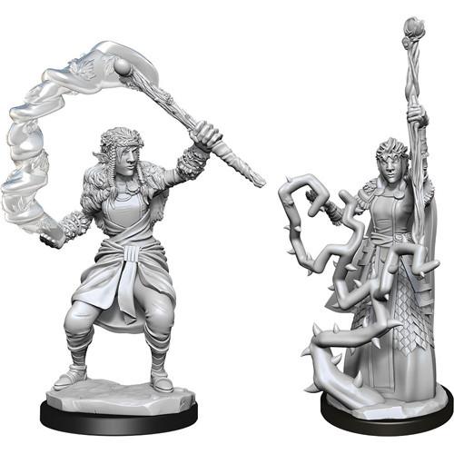 D&D Firbolg Druid Female