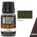 GSW Pigment WILD MOSS GSW Hobby Green Stuff World 
