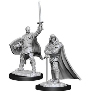 Human Paladin Male D&D RPG Miniatures Wizkids 