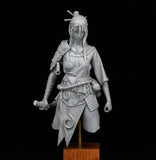 Journeyman Miniatures: Shinobi 1:6 scale Bust Bust Journeyman Miniatures 