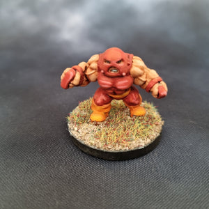 Jugger Dwarf Custom Models HammerHouse 