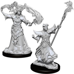 Male Human Sorcerer D&D RPG Miniatures WizKids 