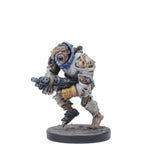 Plague Faction Starter Deadzone Mantic Games 