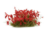 Red Flowers Flowers Gamers Grass 